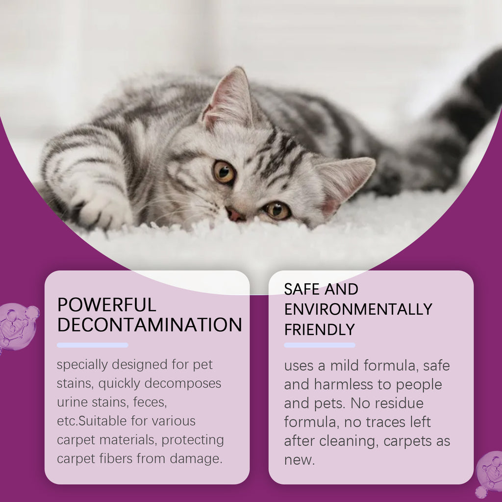 Pet Stain and Odor Eliminator Carpet Cleaner